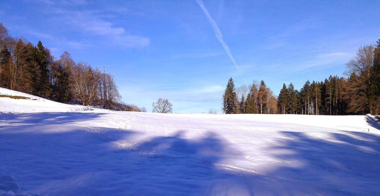 Pension Zur Altdeutschen Zschopau エクステリア 写真